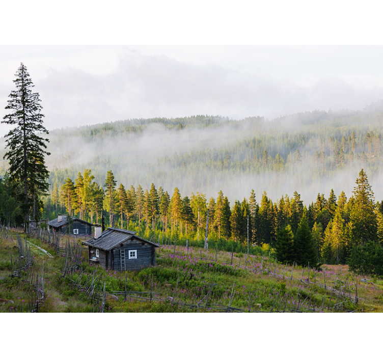 Papier peint mural forets Forêt brumeuse colorée - TenStickers