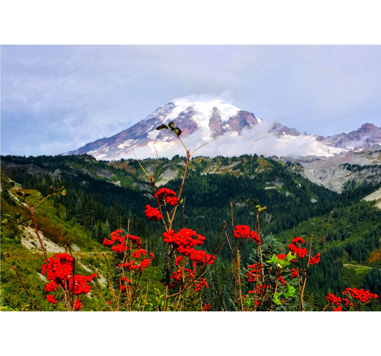 Papier peint mural de fleurs Montagne et fleurs rouges - TenStickers