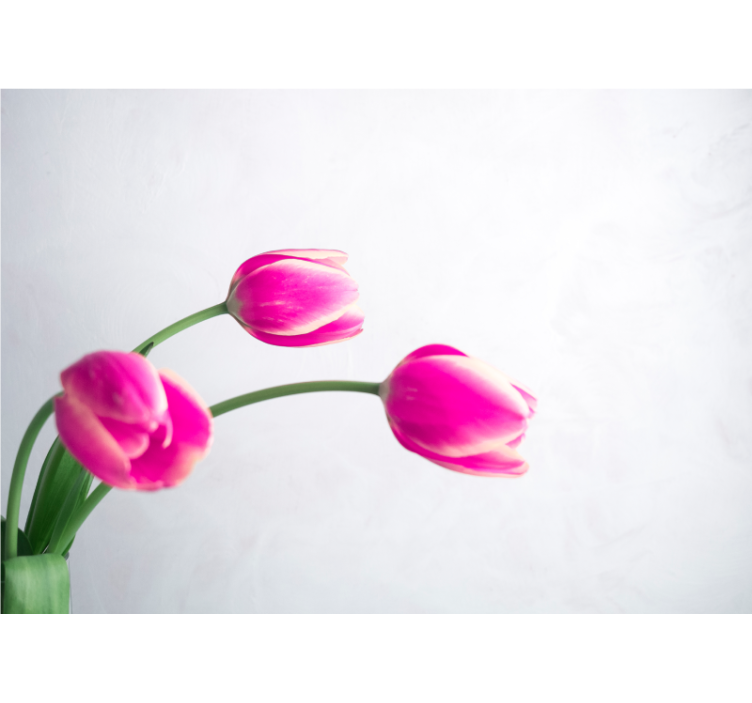 Tapisserie murale coquelicots fleurs de tulipes roses - TenStickers