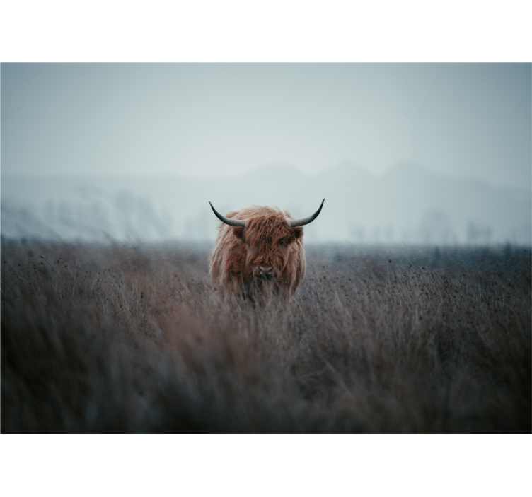 Tapisserie nature vache brune des hautes terres - TenStickers