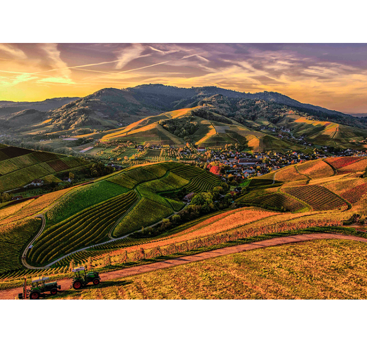 Tapisserie murale paysage vue sur le vignoble luxuriant - TenStickers