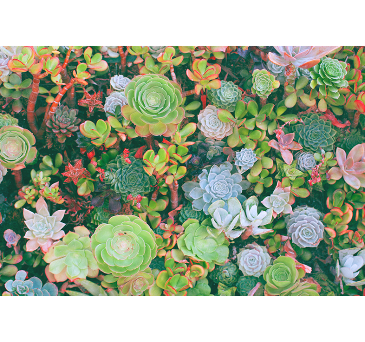 Tapisserie fleur jardin succulent fleuri - TenStickers