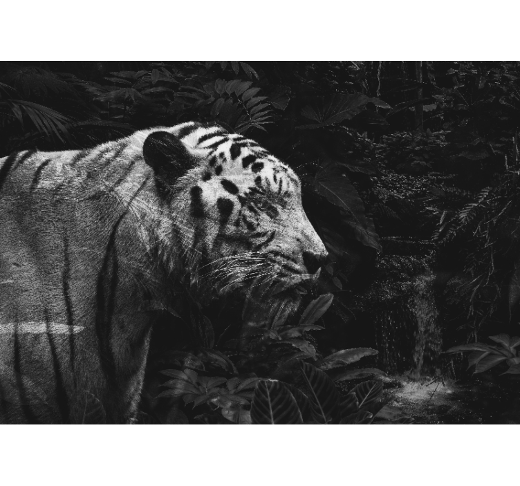 Tapisserie murale animaux majestueux tigre blanc - TenStickers