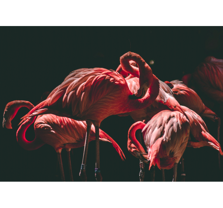 Papier peint salon Flamants roses illuminés au bord - TenStickers