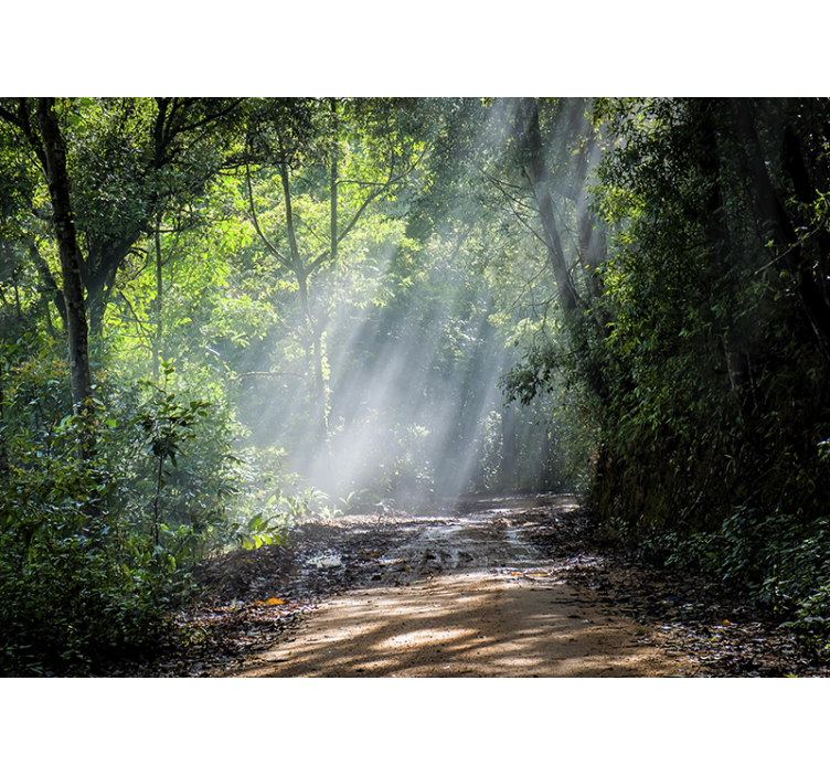 Tapisserie nature sentier forestier lumineux - TenStickers