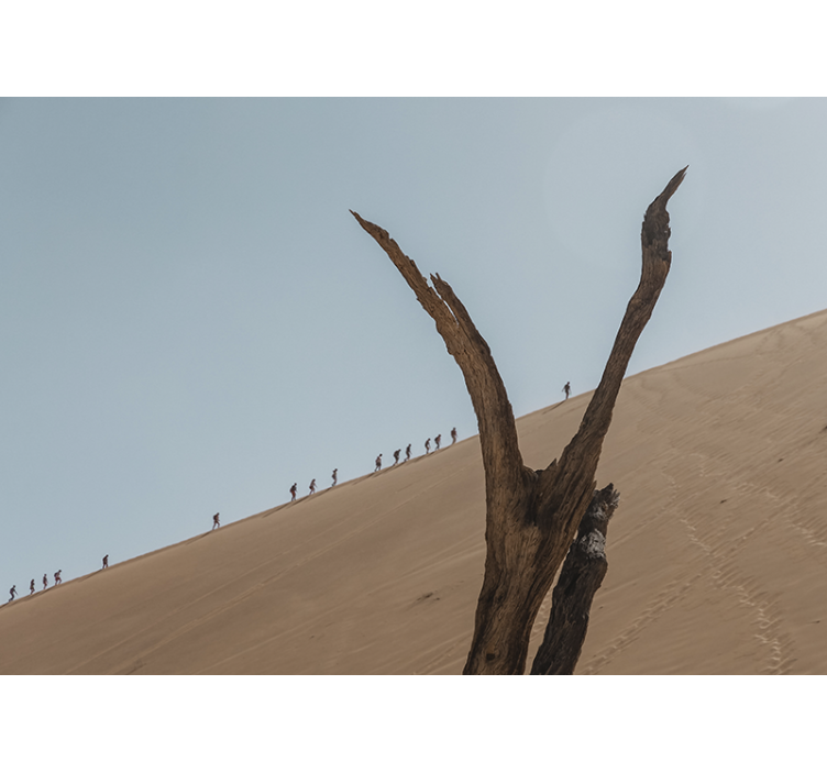 Papier peint salon Dunes de sable - TenStickers