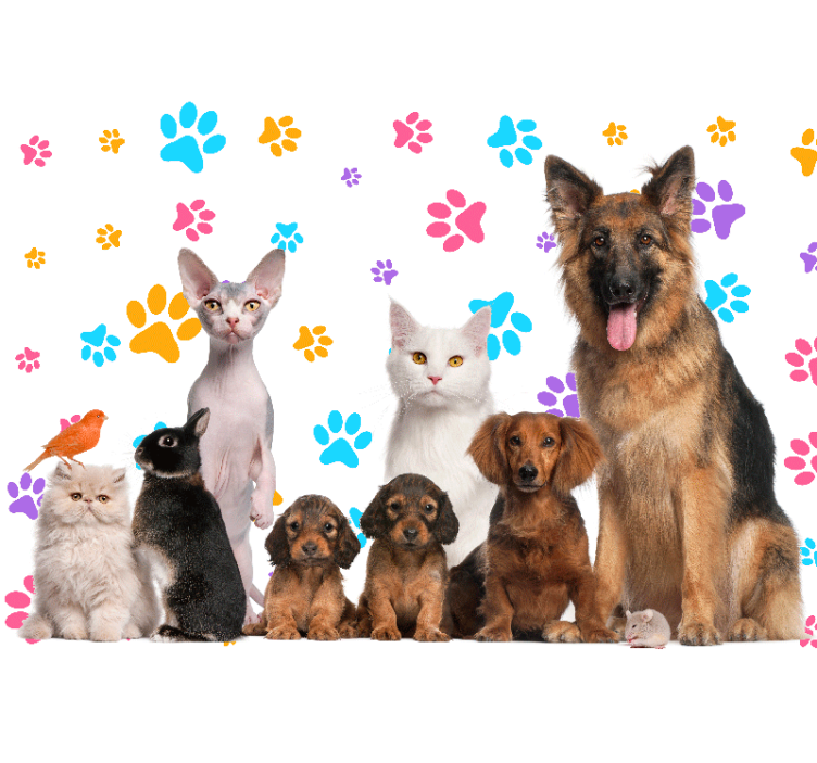 Papier peint mural d'animaux Chiens et chats - TenStickers
