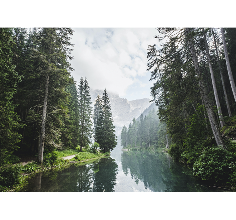 Tapisserie murale paysage Écho de la forêt paisible - TenStickers