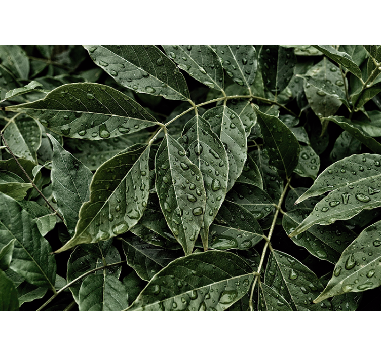 Tapisserie nature feuillage vibrant - TenStickers