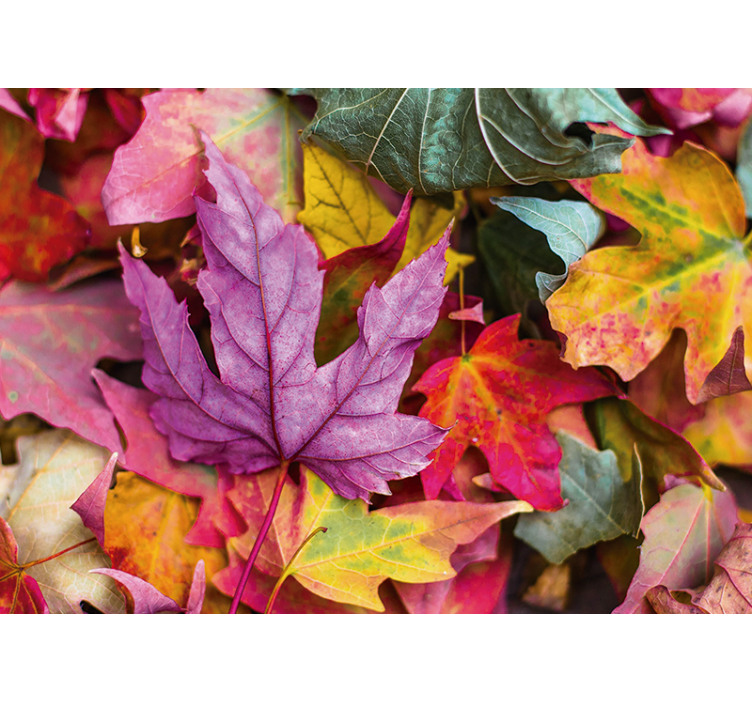 Tapisserie fleur motifs de feuilles colorés - TenStickers