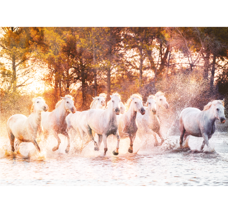 Photo murale Chevaux sauvages coucher de soleil - TenStickers