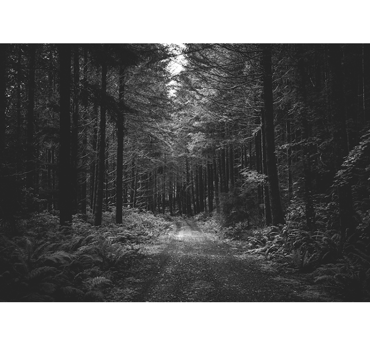 Papier peint mural forets Chemin noir et blanc - TenStickers