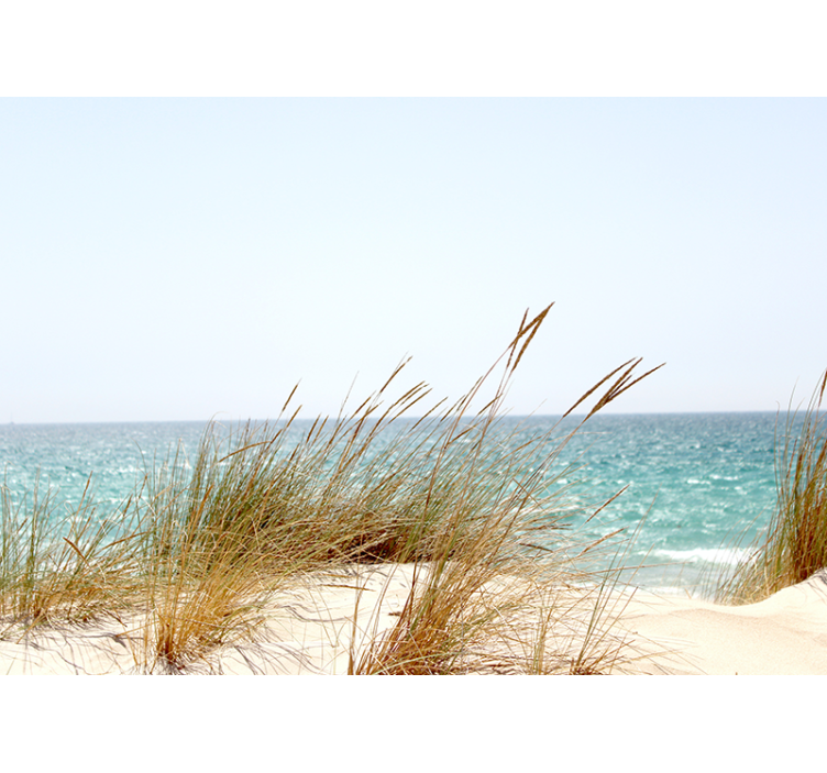 Papier peint nature Jonc de plage - TenStickers