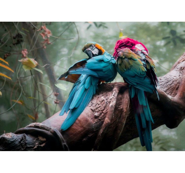 Tapisserie murale animaux perroquets colorés en étreinte - TenStickers