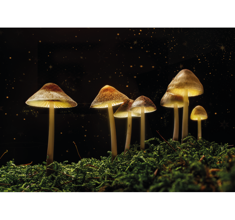 Tapisserie nature scène de champignons lumineux - TenStickers