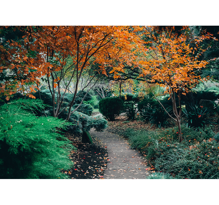 Papier peint 3D Corridor botanique "cottagecore" - TenStickers