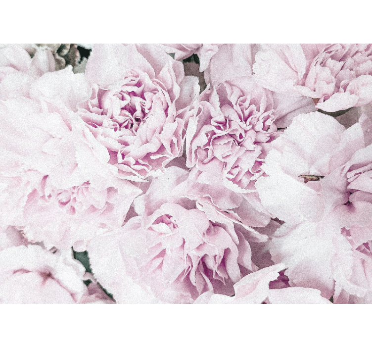 Tapisserie fleur fleurs roses douces - TenStickers