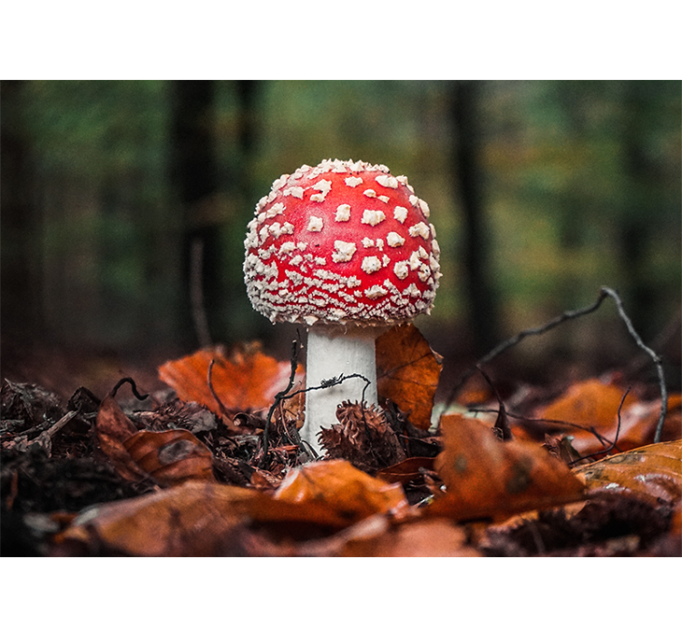 Tapisserie nature champignon rouge à pois blancs - TenStickers