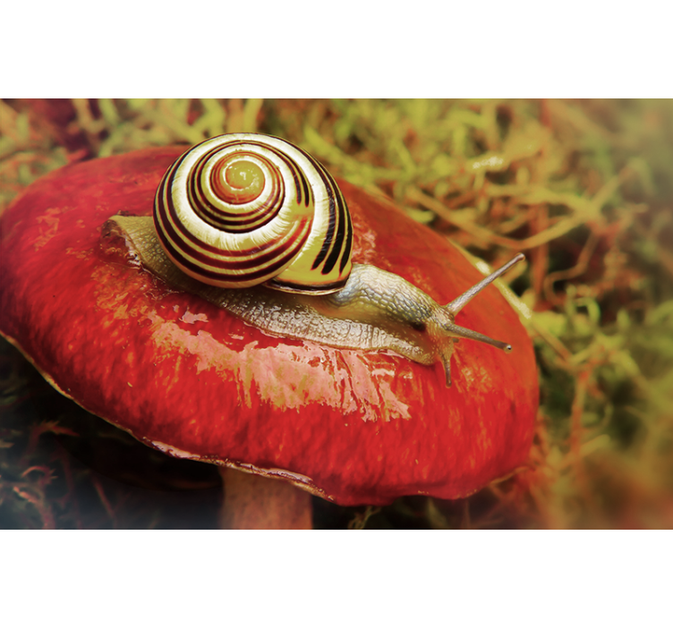 Tapisserie autres animaux escargot sur champignon - TenStickers