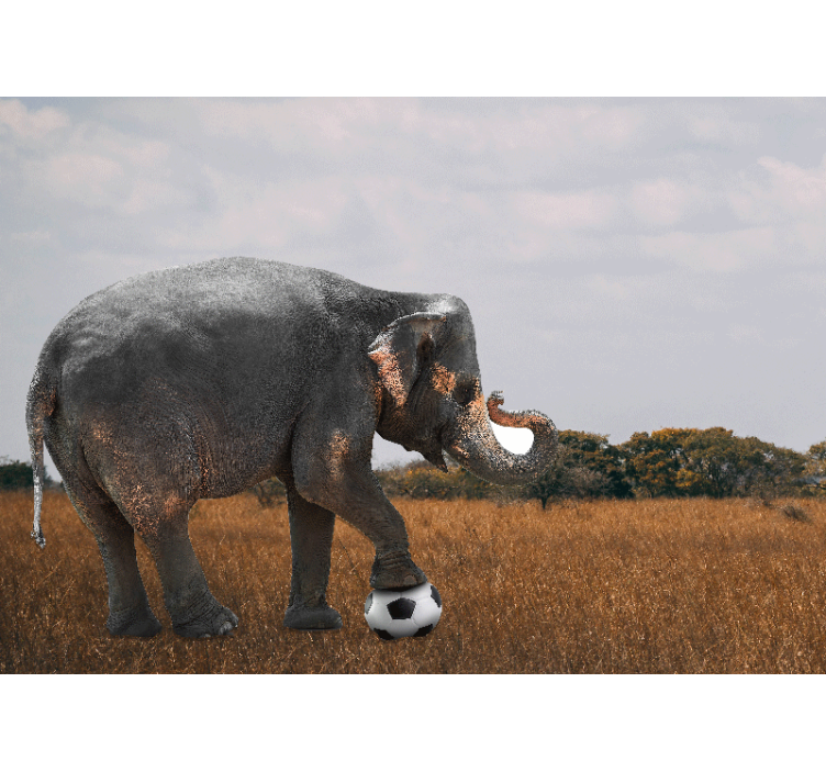 Tapisserie autres animaux Éléphant jouant au foot - TenStickers