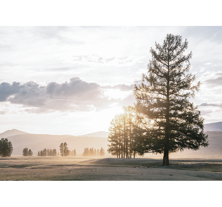 Tapisserie nature silhouette de pin sereine - TenStickers