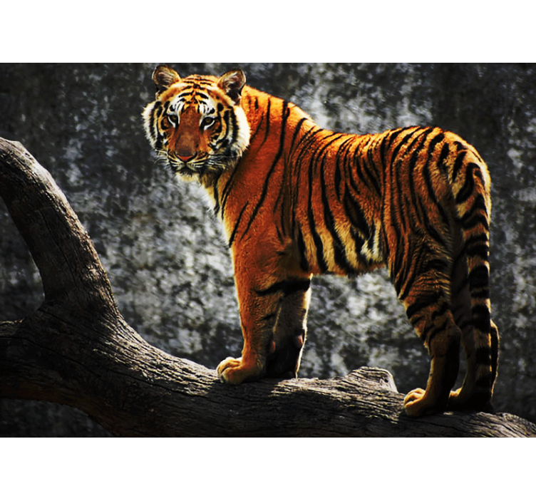 Tapisserie murale animaux tigre royal en posture - TenStickers