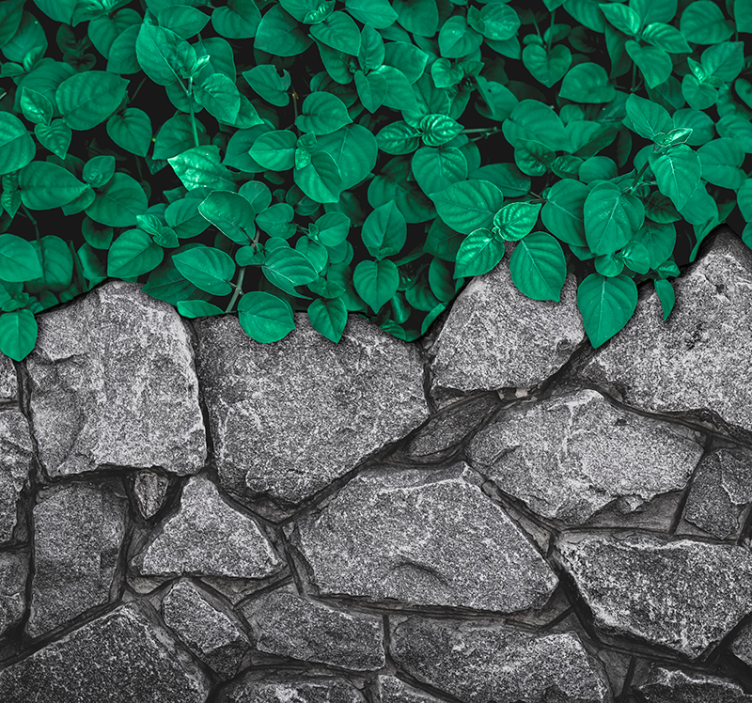 Tapisserie murale salon feuilles et pierres - TenStickers