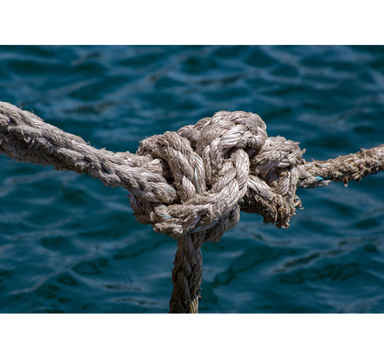 Photo murale Nœud marin - TenStickers