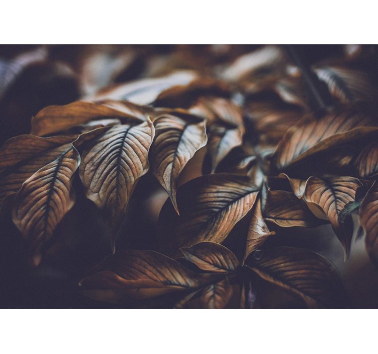 Photo murale Tapis de feuilles - TenStickers