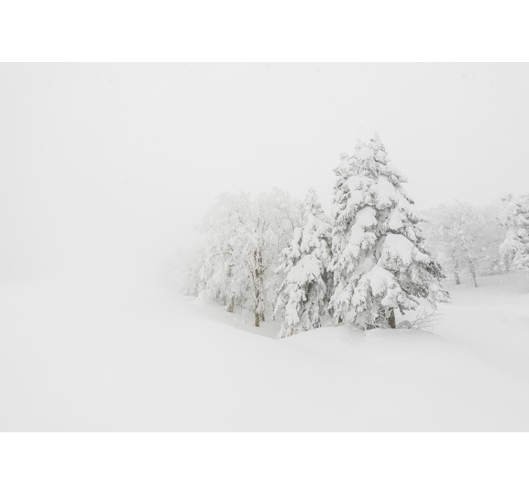 Papier peint tempête hivernale et forêt d'arbres - TenStickers