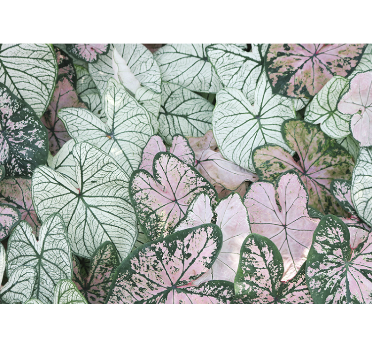 Tapisserie nature textures vertes feuillues - TenStickers