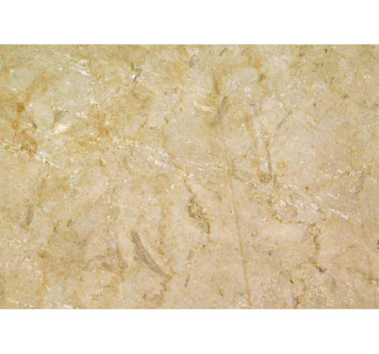 Papier peint motif Pierre brune - TenStickers