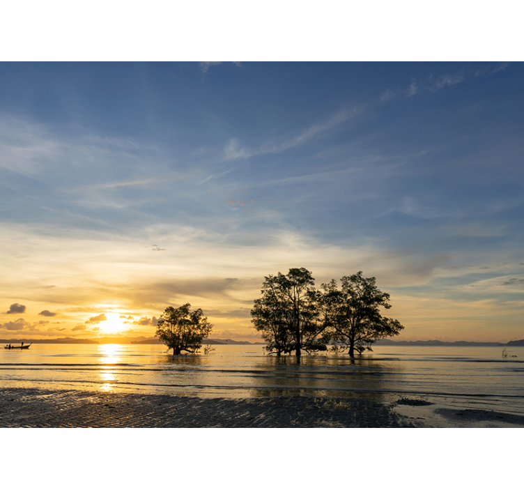 Papier peint mural mer Le soleil couchant sur la plage - TenStickers