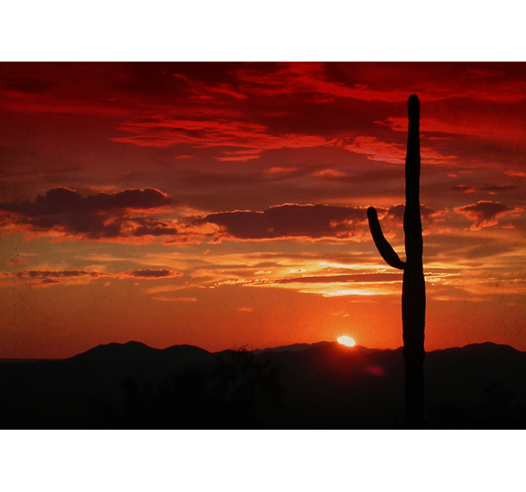 Tapisserie nature ombre du coucher de soleil sur le cactus - TenStickers