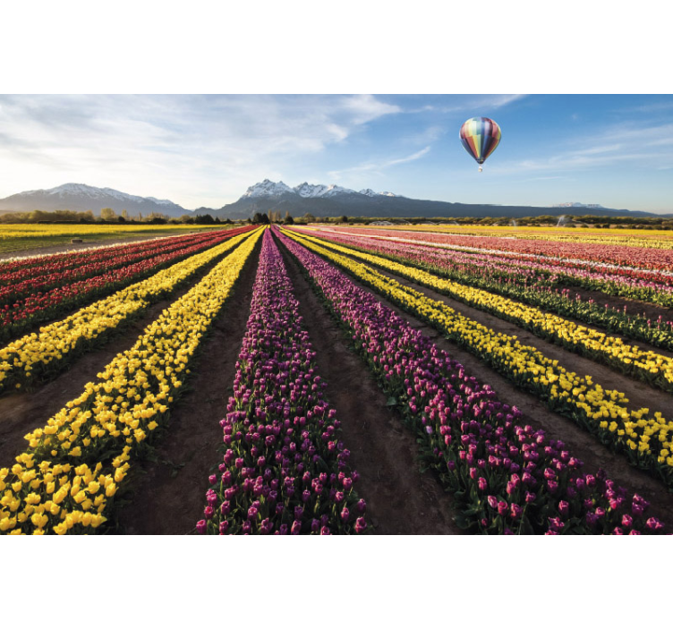 Papier peint Ballon à air sur les tulipes - TenStickers