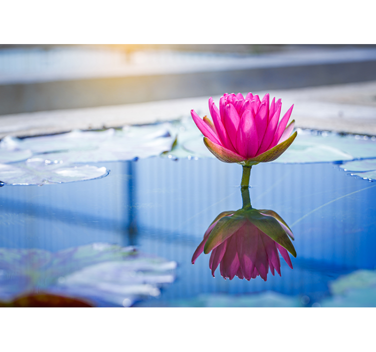 Tapisserie murale zen fleur de lotus tranquillité - TenStickers