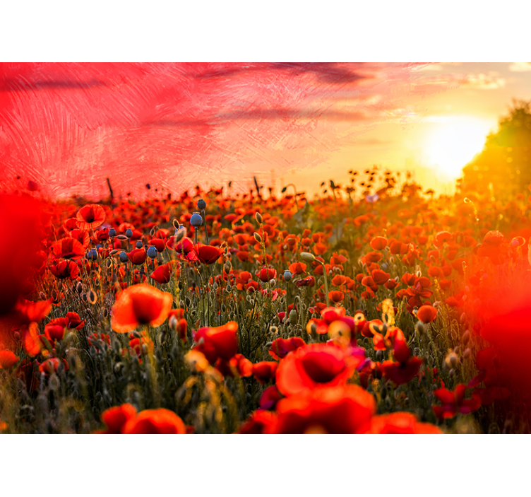 Photo murale coquelicots et coucher de soleil - TenStickers