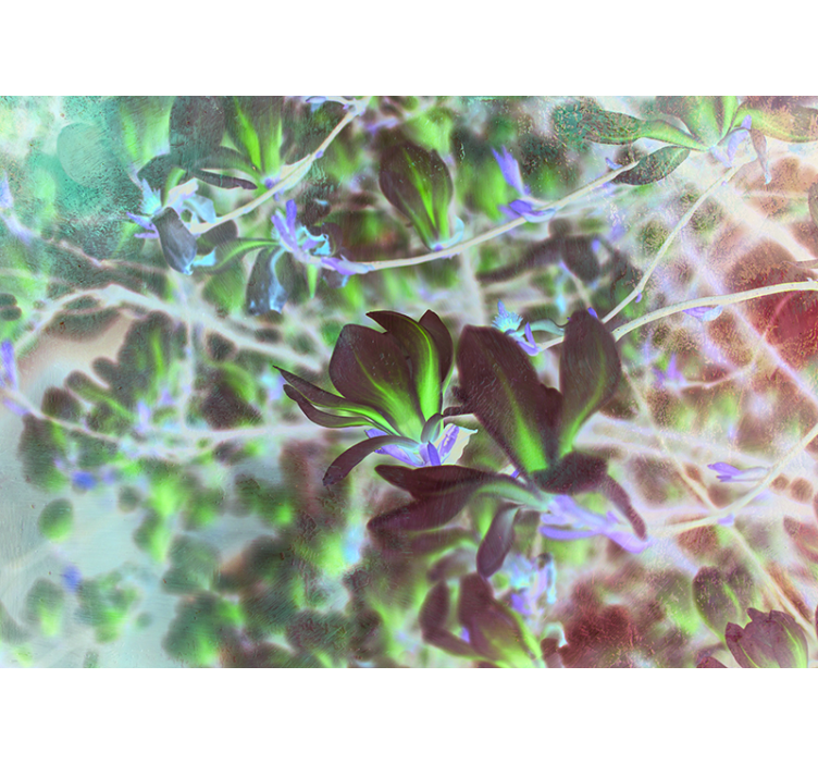 Tapisserie orchidée explosion de fleurs de magnolia - TenStickers