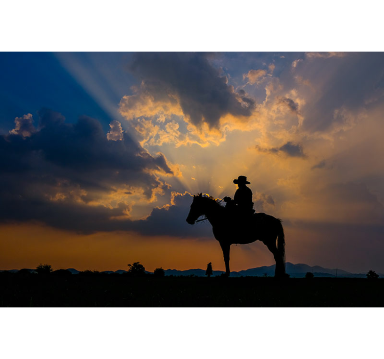 Tapisserie murale animaux cavalier sur destrier - TenStickers