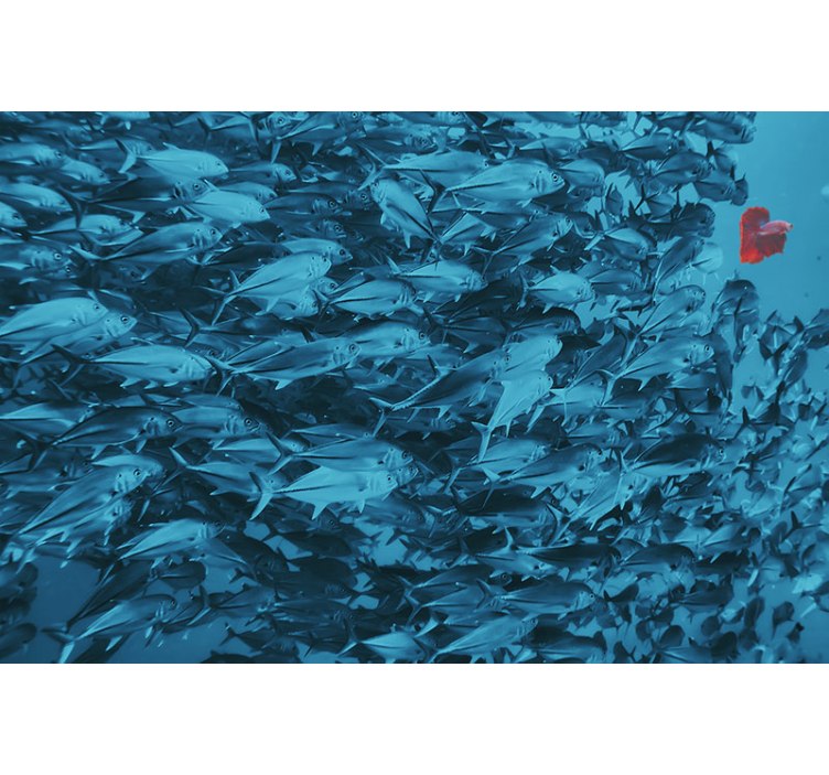 Tapisserie murale animaux École de poissons sous-marins - TenStickers
