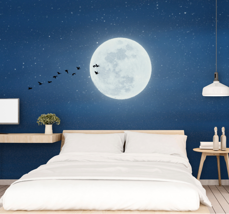 Papier peint 3D Pleine lune et ciel - TenStickers