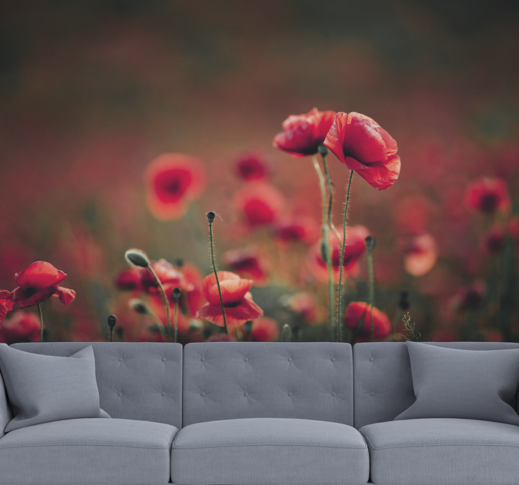Photo murale coquelicot - TenStickers