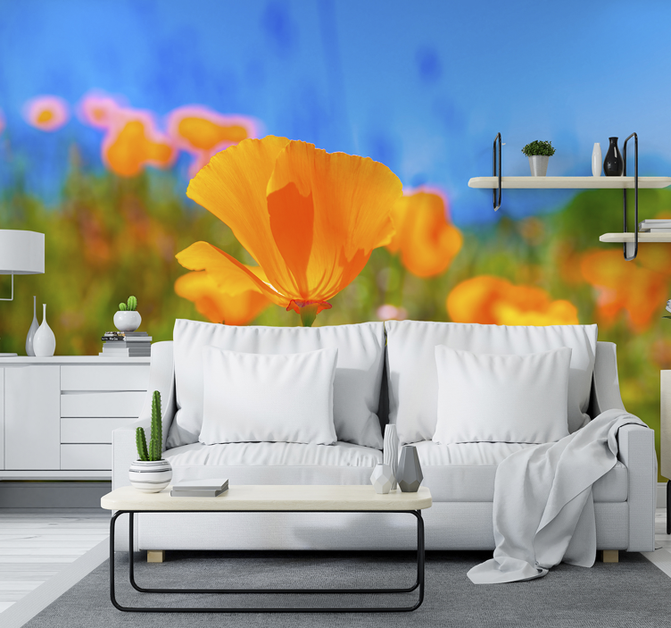 Photo murale fleur Coquelicots orange - TenStickers