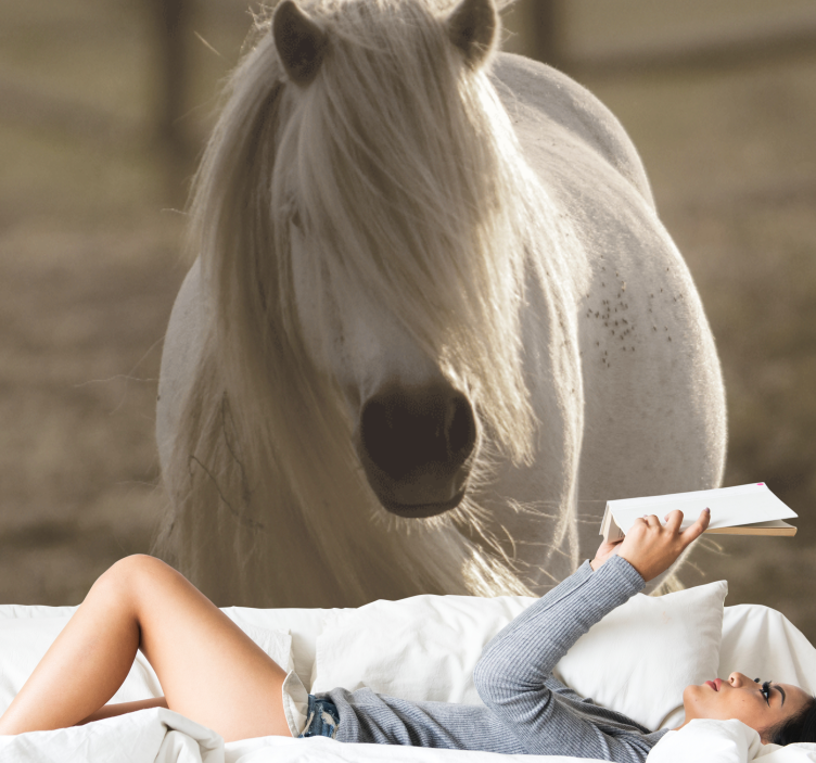 Papier peint mural d'animaux Cheval au visage blanc - TenStickers