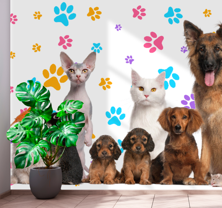 Papier peint mural d'animaux Chiens et chats - TenStickers
