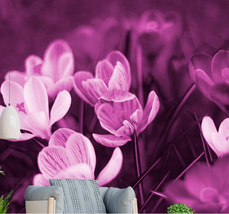 Papier peint mural de fleurs Belle fleur de crocus rose - TenStickers