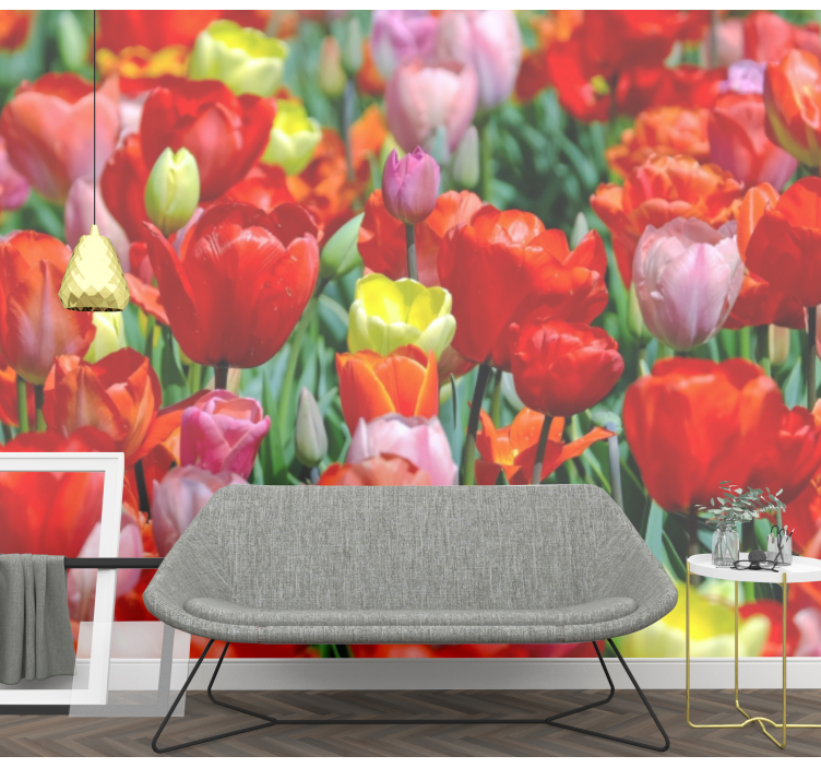 Papier peint tulipes Champ de tulipes colorées - TenStickers