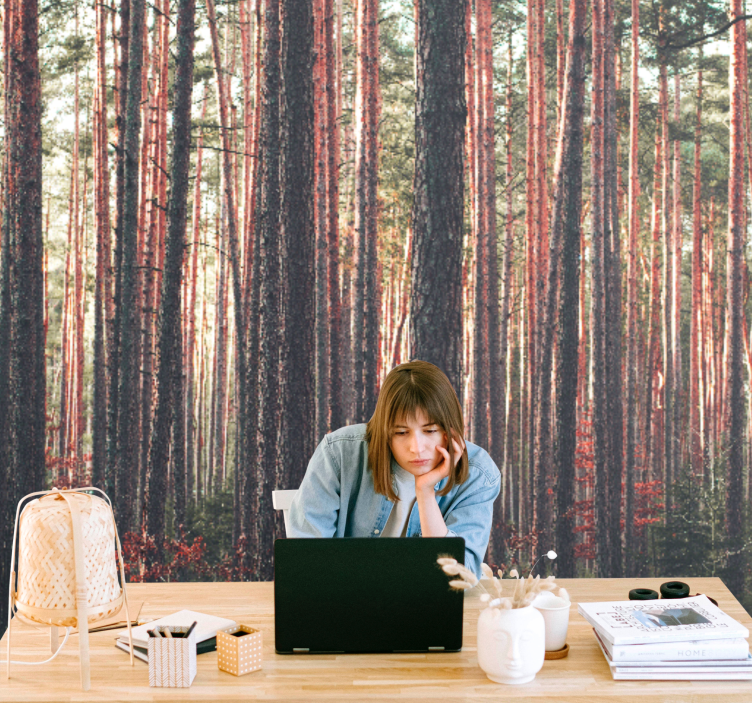 Tapisserie forêt bois de pin tranquille - TenStickers