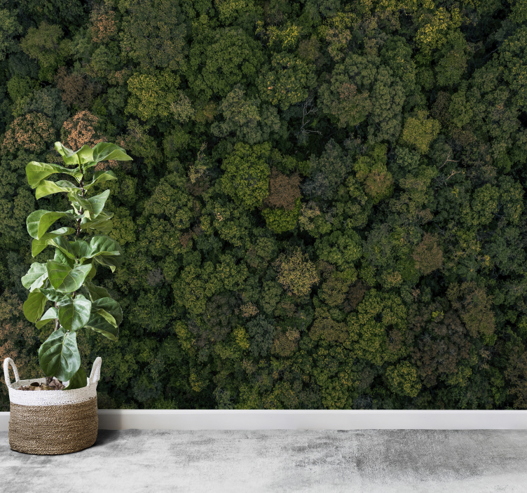 Tapisserie jungle vue aérienne de la forêt - TenStickers