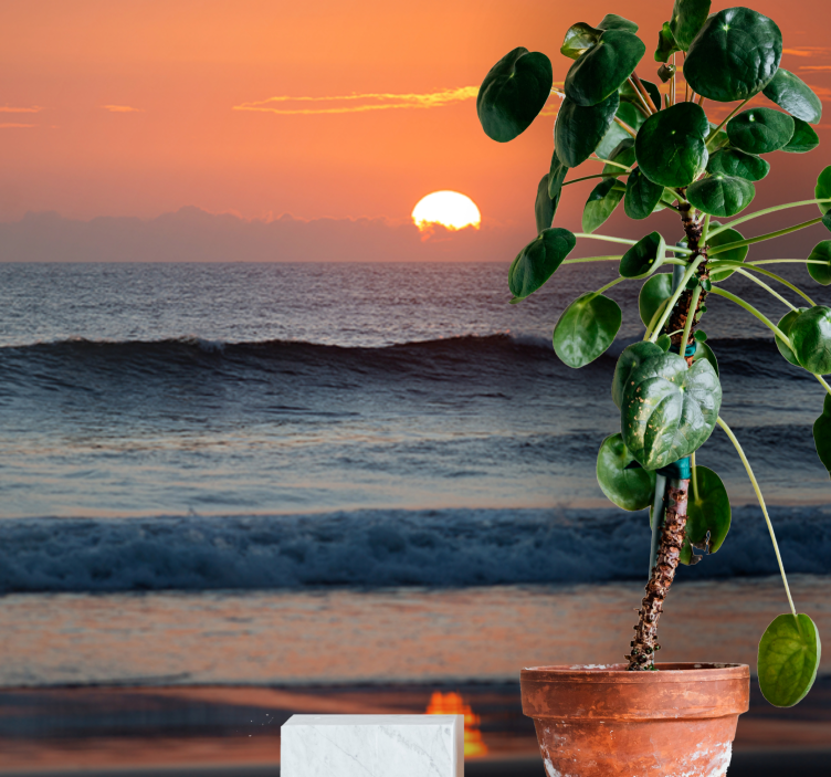 Tapisserie mer coucher de soleil horizon océan - TenStickers